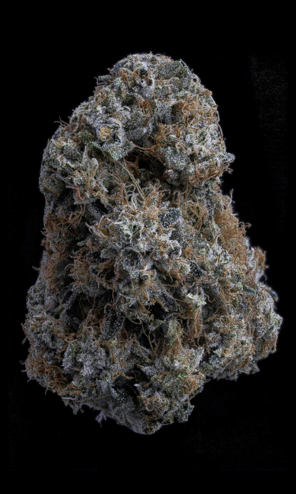 Sticky Status - Sticky Status | Princess Cut OG | Big Buds | 3.5g - 1