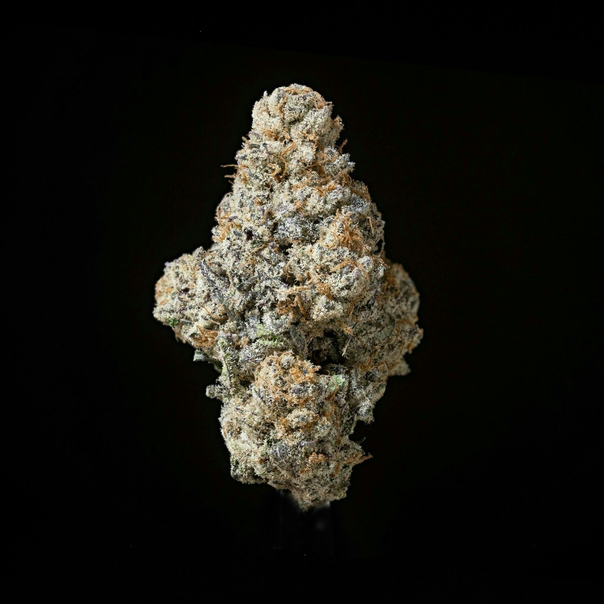 Sticky Status - Sticky Status | Lava Cake | Big Buds | 3.5g - 1