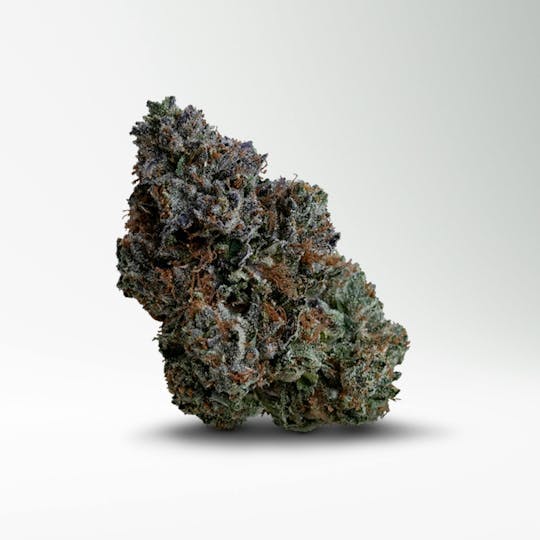 Wood Wide - Wood Wide | Woodzy | 1g - 1