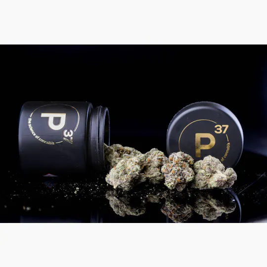P37 - P37 | Bubblegum Marker | Big Buds - 1