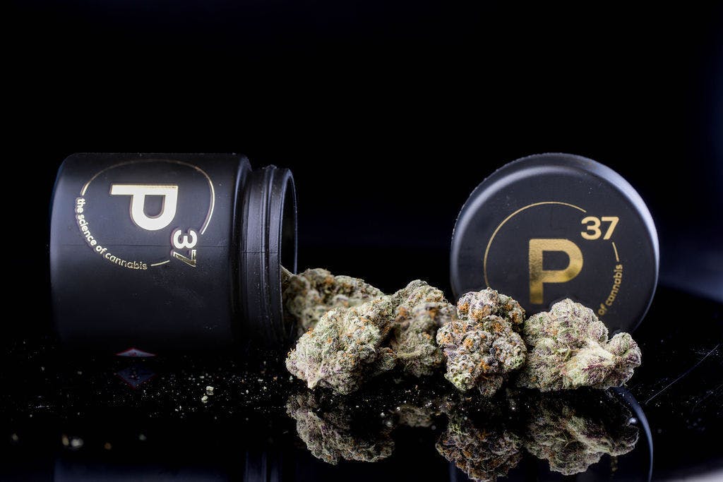 P37 - P37 | The Funk From Mars | Flower - 1