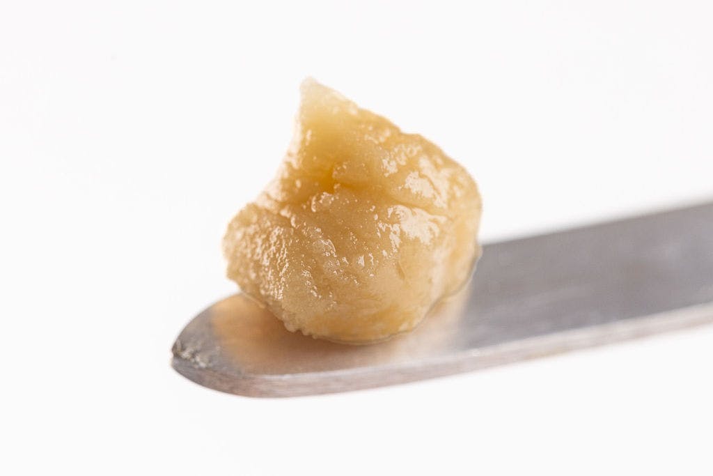 P37 - P37 | Gary Payton | Rosin | 1g - 1