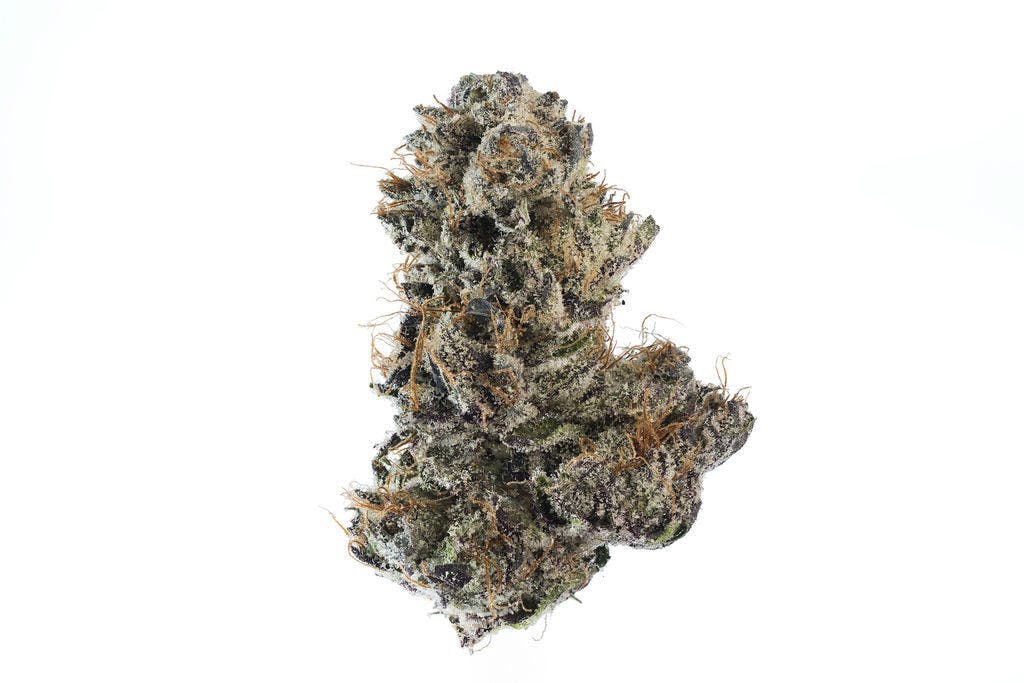 P37 - P37 | Gametime | Flower - 1