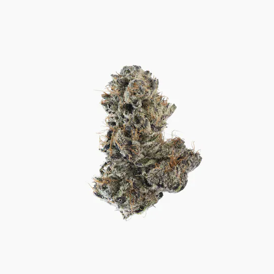 P37 - P37 | Gametime | Flower - 1