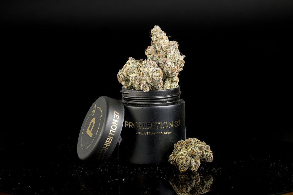 P37 - P37 | Cherrylicious | Flower - 1