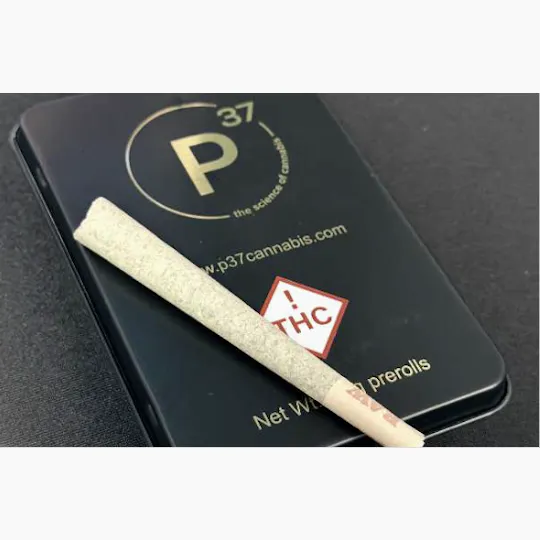 P37 - P37 | Fruit Pie | Joints | 1g each | 7pk - 1