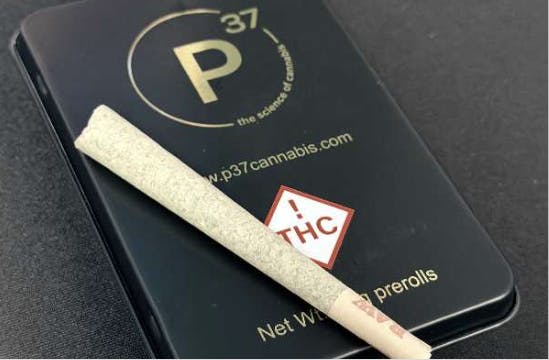 P37 - P37 | Sour Sunset Sherbet | Joints | 1g each | 3pk - 1