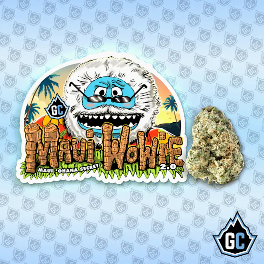 Glacier Cannabis - Glacier Cannabis | Maui Wowie 2.0 | Big Buds | 3.5g - 1