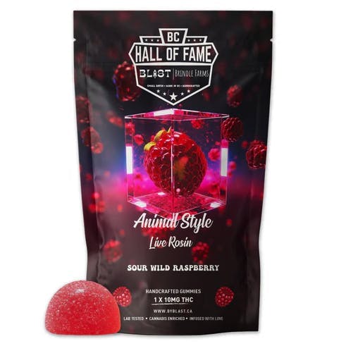 Blast - Blast | Animal Style Sour Wild Raspberry Live Rosin Gummy | 10mg - 1
