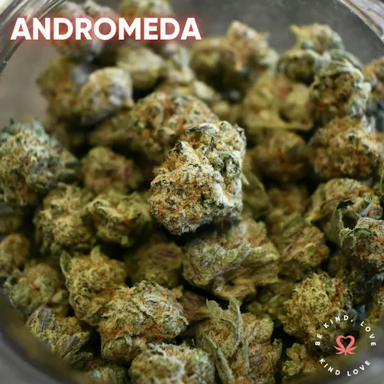 Kind Love Brand - Kind Love | Andromeda | Big Buds | 14g - 1