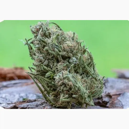 Farm Cut - Farm Cut x Whitethorn Valley Farm | Citrine Dream | Big Buds | 7.5g - 1