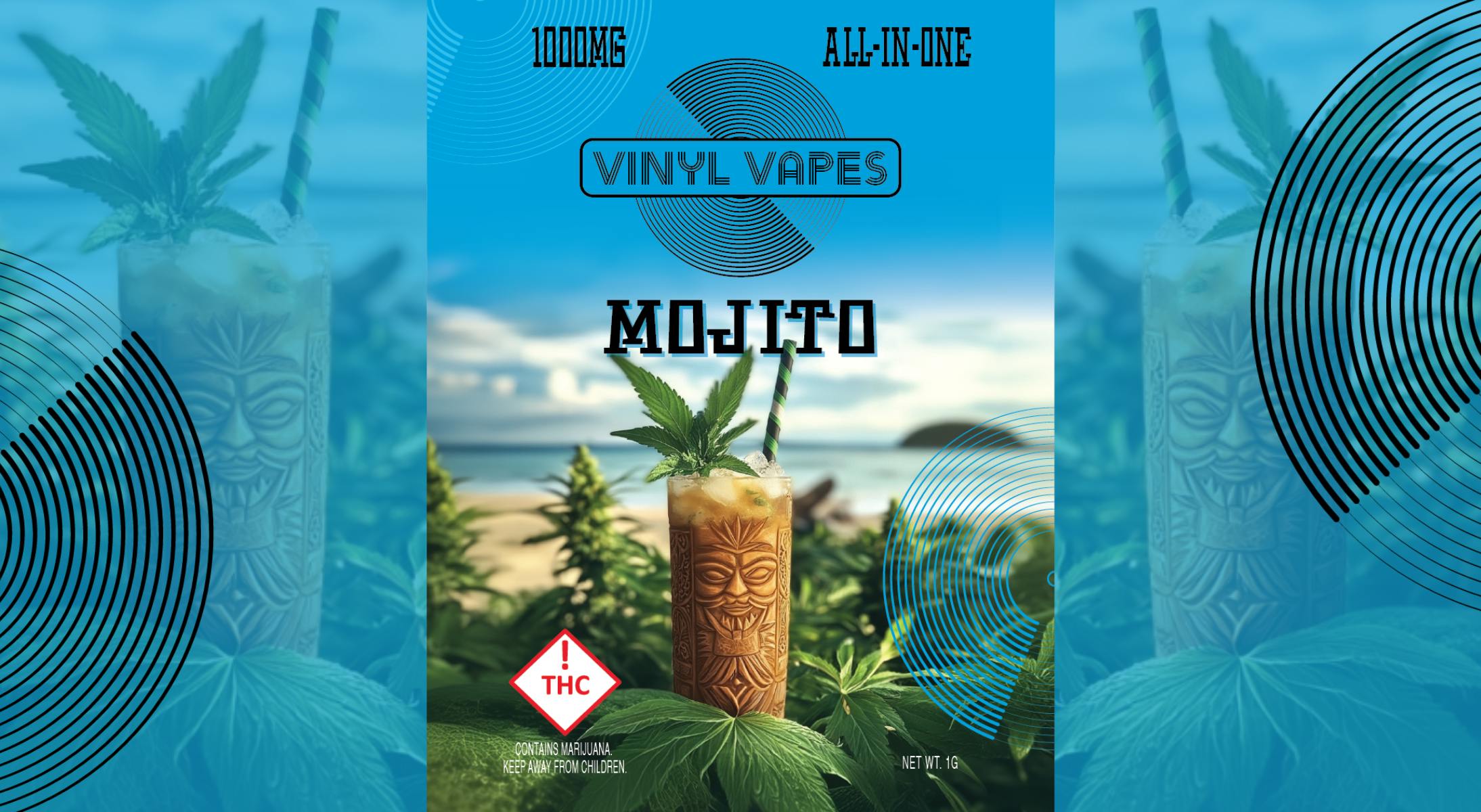 Vinyl Vapes - Mojito 1G All-In-One Disposable Vape - 1