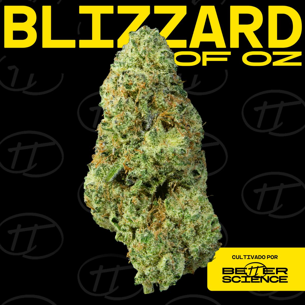 Better Science - BSC - Blizzard of Oz - Flor - 1