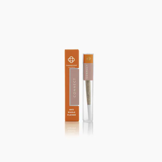 Canndescent - Canndescent | CONNECT | Strawberries & Cream | Joint | 1g - 1