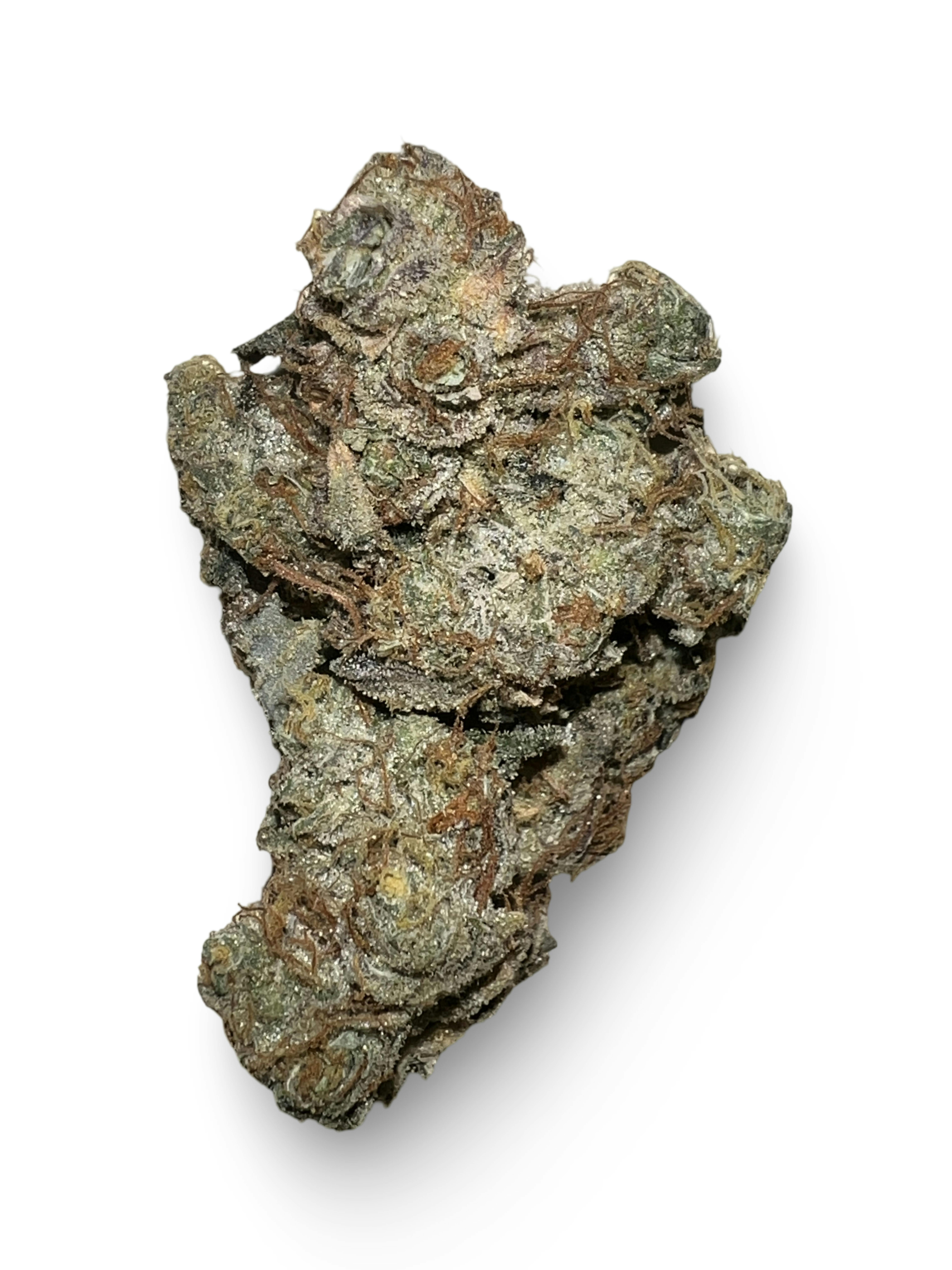 Indico - GMO - High Striker Farms - 1