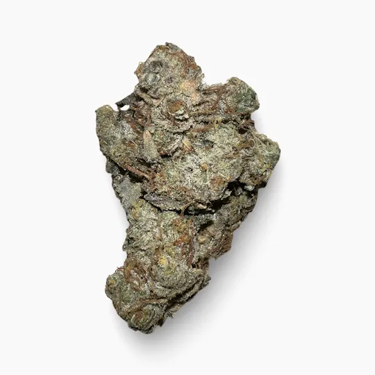 Indico - GMO - High Striker Farms - 1