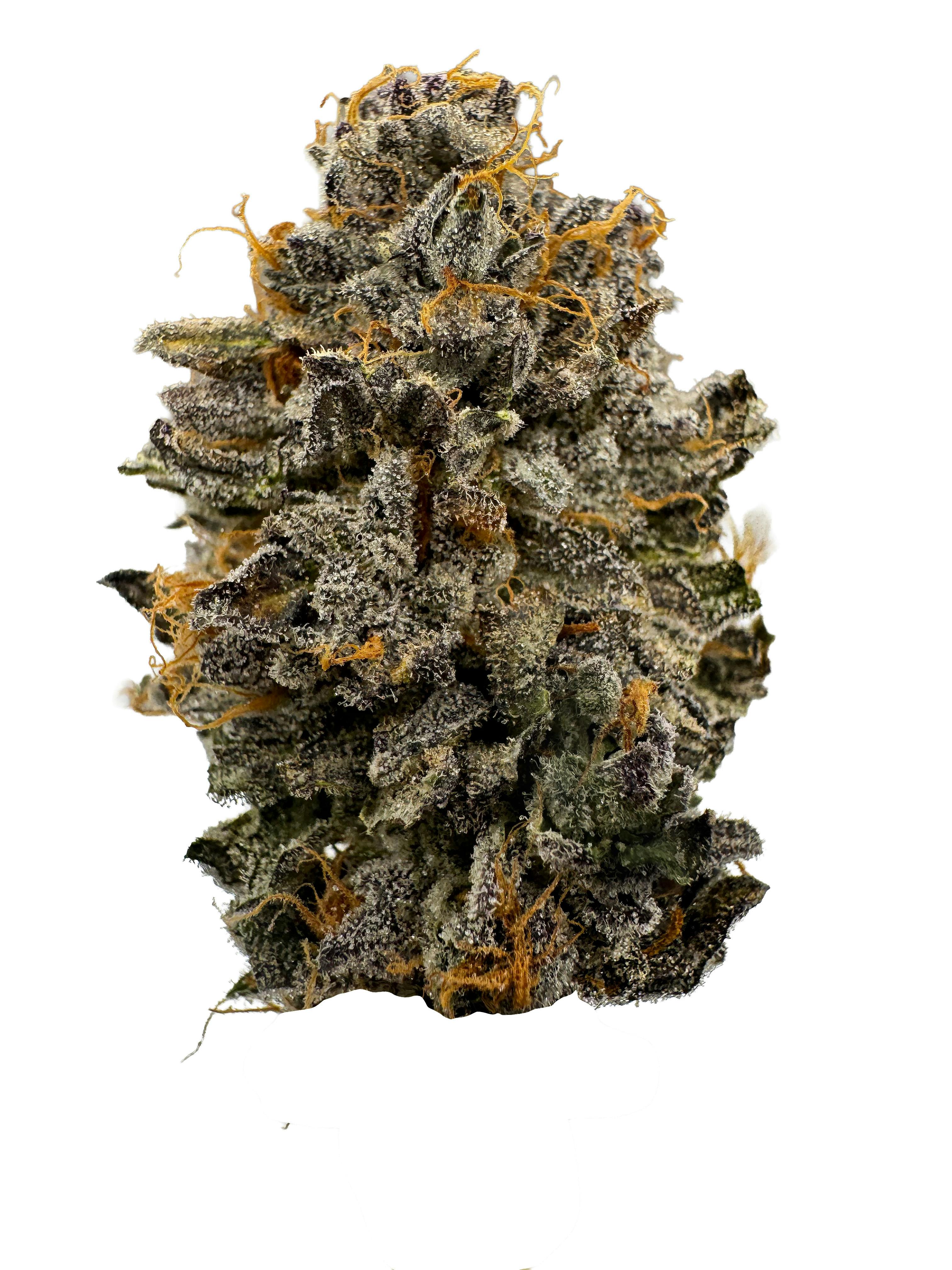 SATTVA Cannabis - S A T T V A | Strawberry Biscotti | Premium Indoor | 7g Smalls - 1