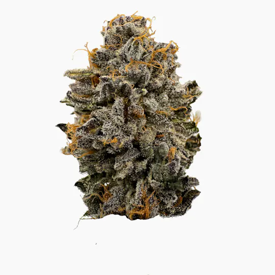 SATTVA Cannabis - S A T T V A | Strawberry Biscotti | Premium Indoor | 7g Smalls - 1