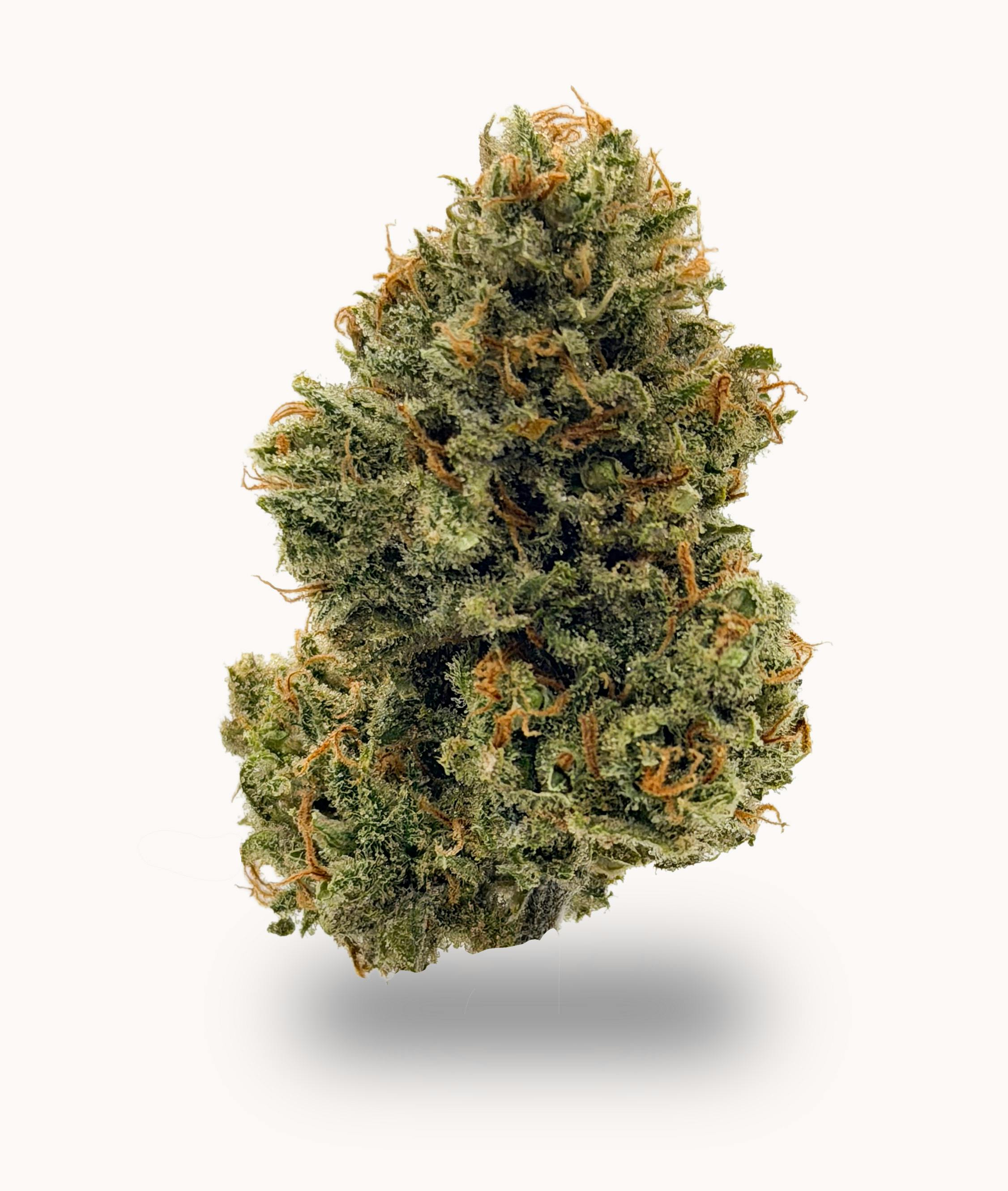 SATTVA Cannabis - S A T T V A | XJ-13 | Premium Indoor | 7g Smalls - 1