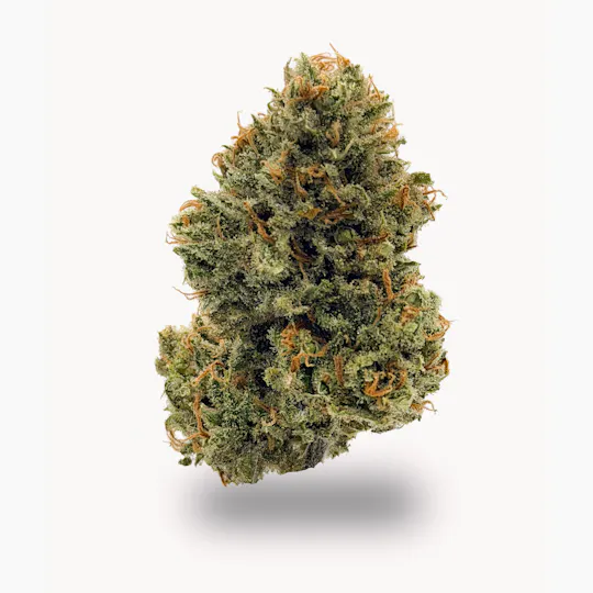 SATTVA Cannabis - S A T T V A | XJ-13 | Premium Indoor | 7g Smalls - 1