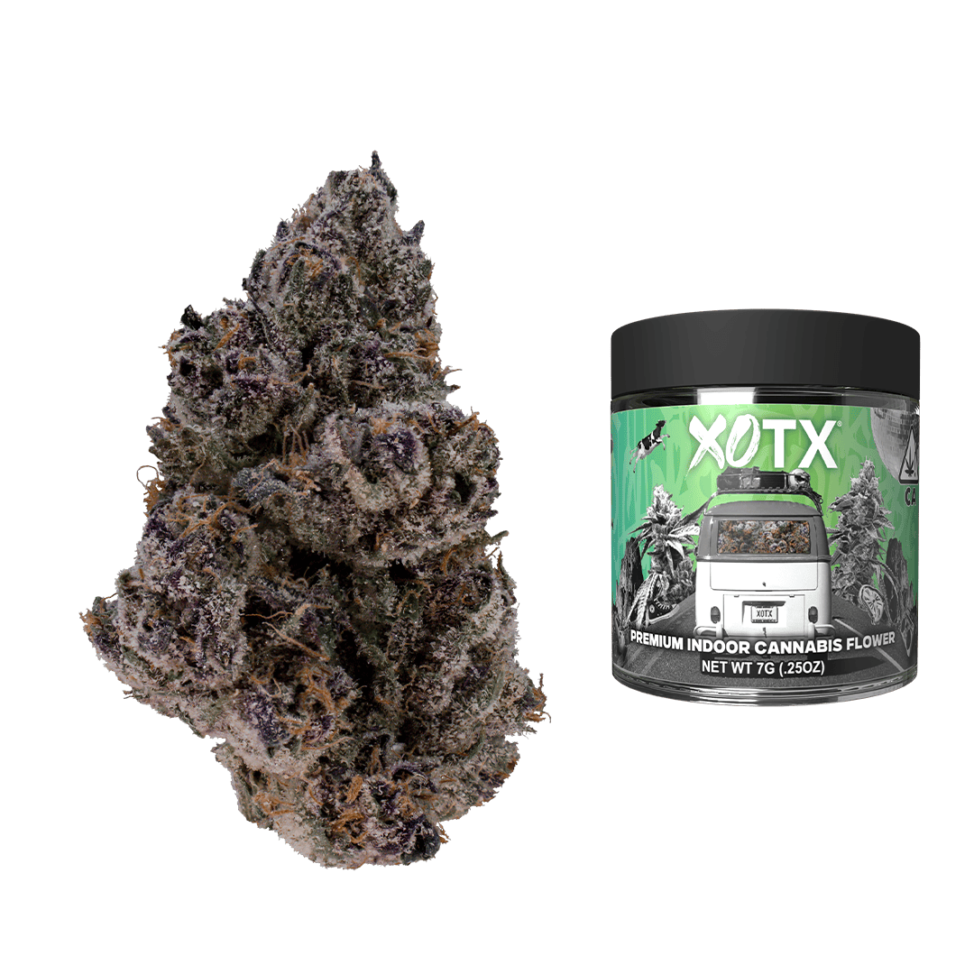 XOTX - Blue Nerds 7G - 1
