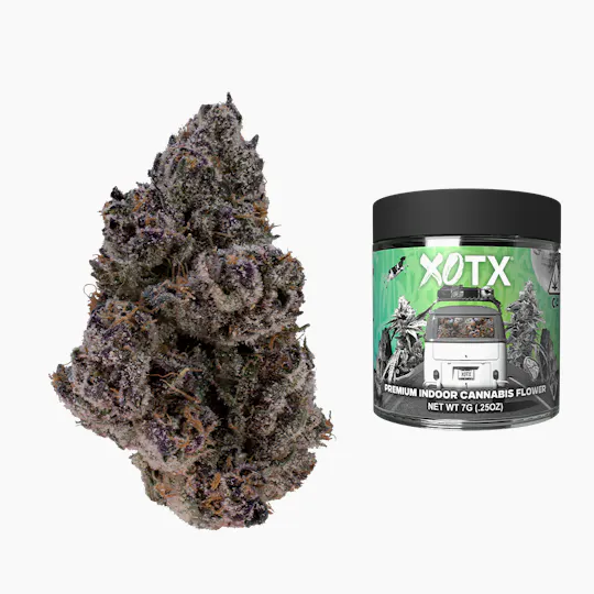 XOTX - Blue Nerds 7G - 1