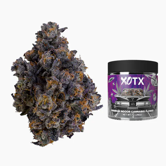 XOTX - Animal Gelato 7G - 1