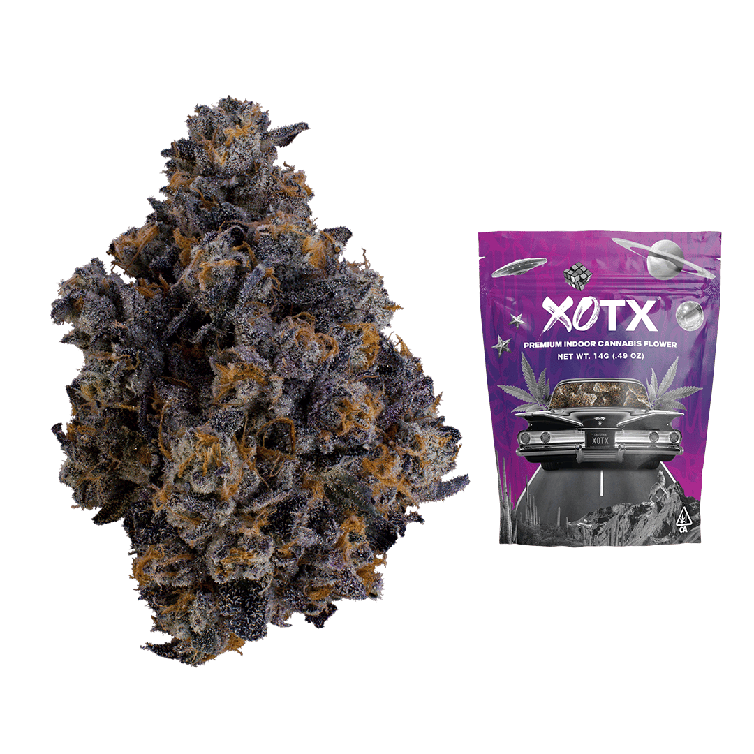 XOTX - Animal Gelato 14G - 1