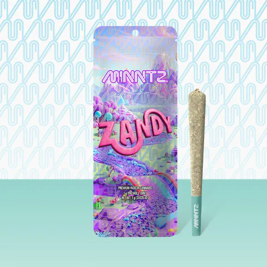 MINNTZ - MINNTZ | Zandy | Joint | 1g - 1