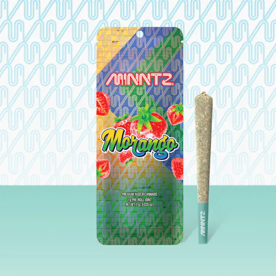 MINNTZ - MINNTZ | Morango | Joint | 1g - 1