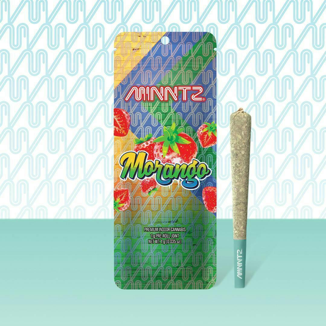 MINNTZ - Morango | Joint | 1g - 1
