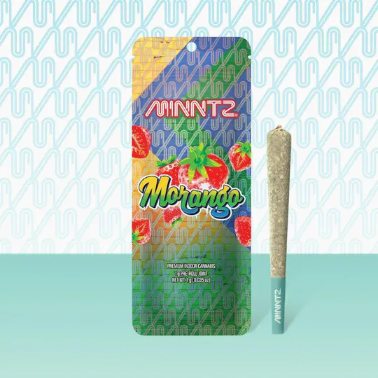 MINNTZ - Morango | Joint | 1g - 1