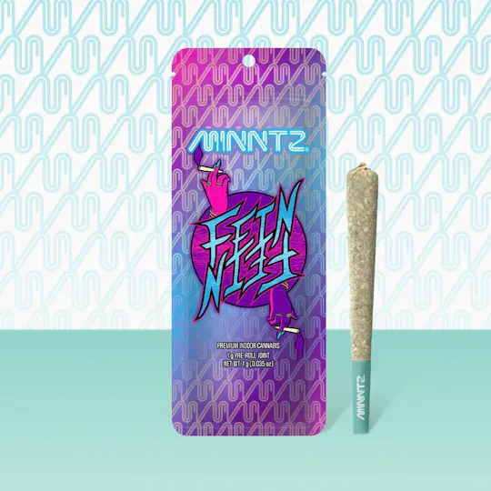 MINNTZ - Fein | Joint | 1g - 1