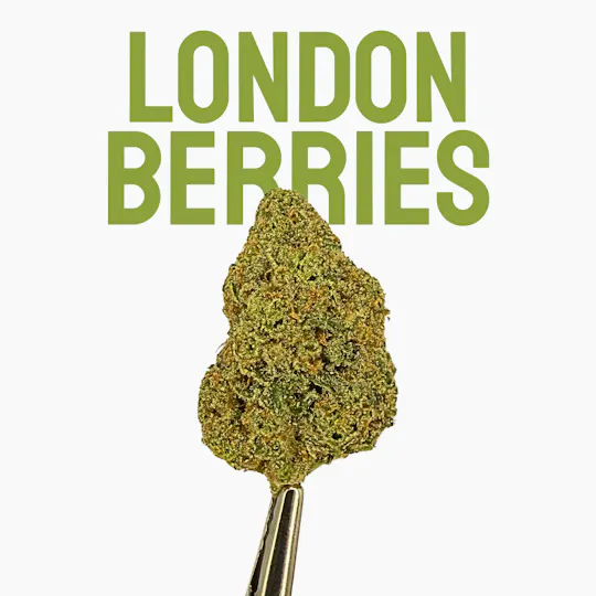 Native Nations Cannabis NY - NNC London Berries 28g - 1