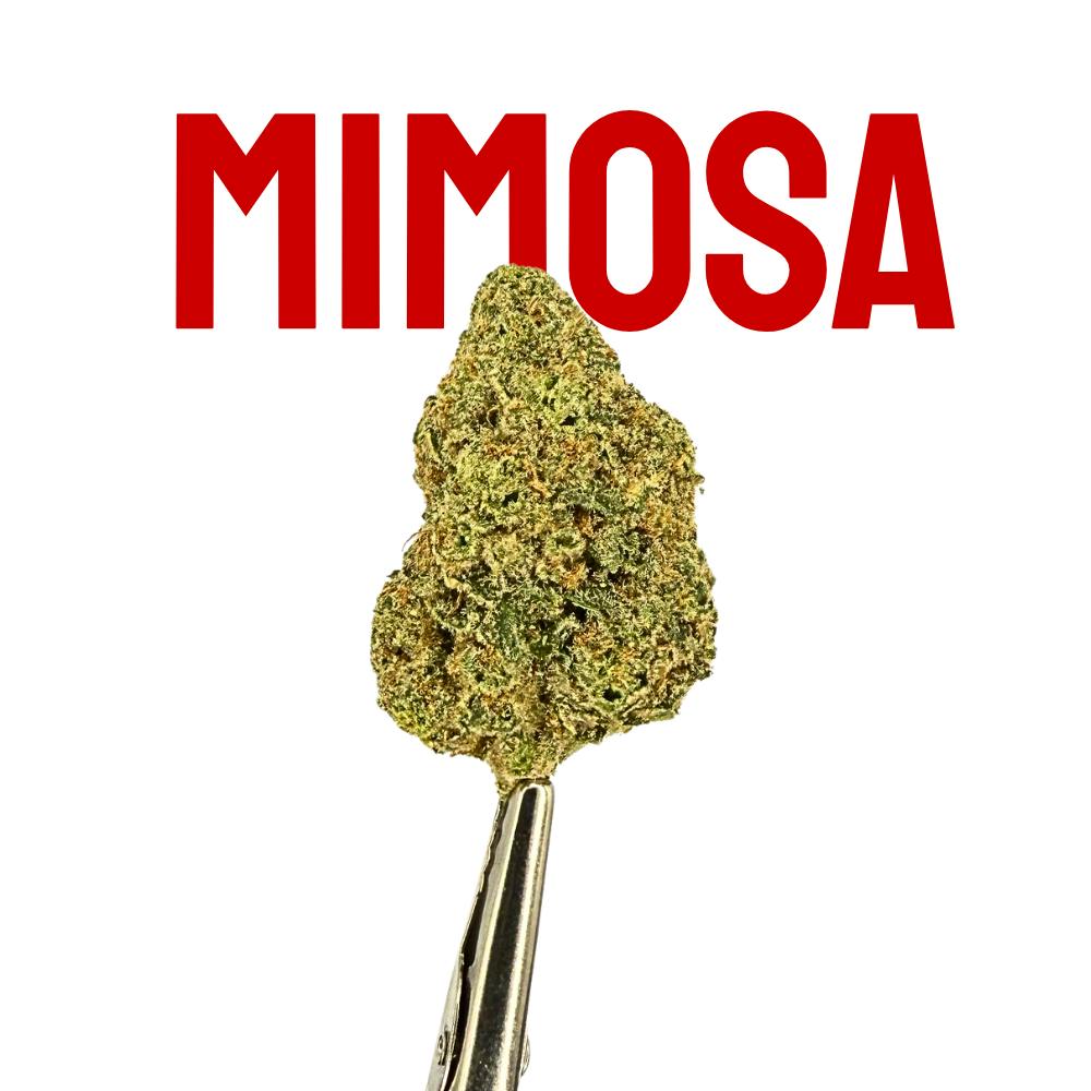 Native Nations Cannabis NY - NNC Mimosa 28g - 1