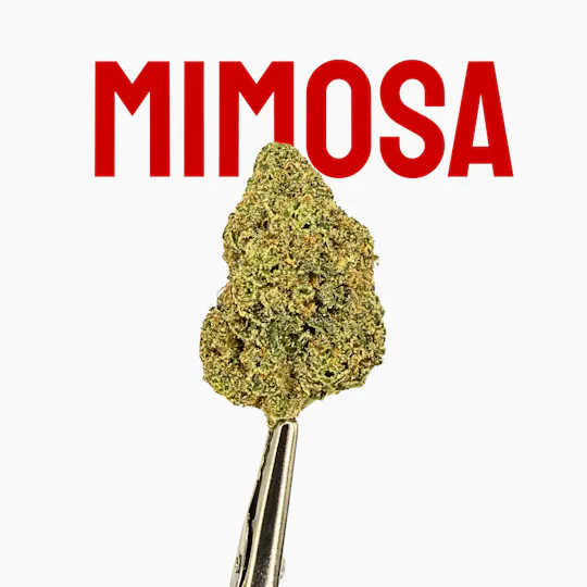 Native Nations Cannabis NY - NNC Mimosa 28g - 1