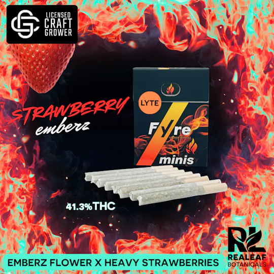 Realeaf Botanicals - Fyre Lyte Strawberry Emberz Infused Pre-Rolls 8-Pack 2.4g - 1
