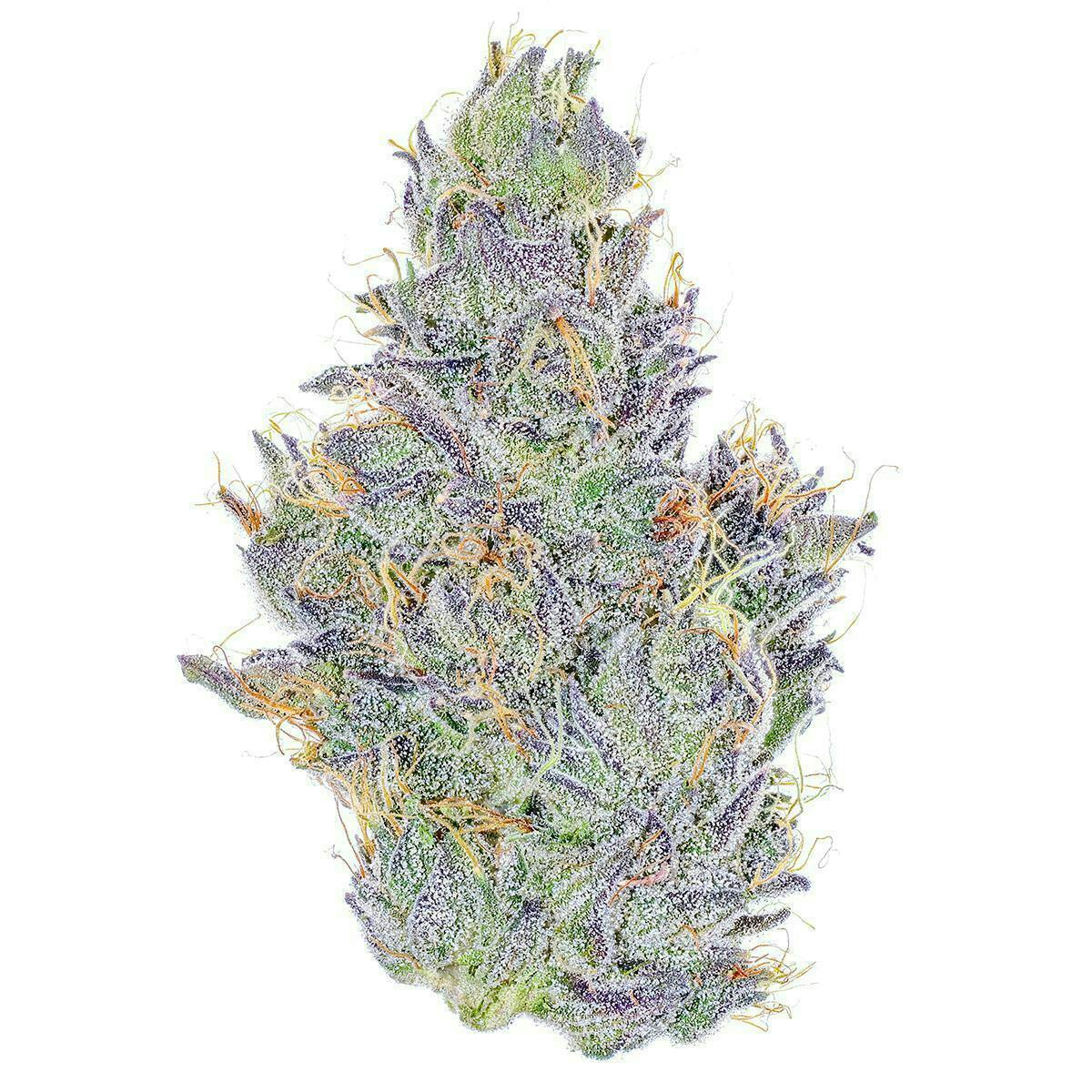 Fig Farms - Fig Farms | Koala Crack | Big Buds - 1