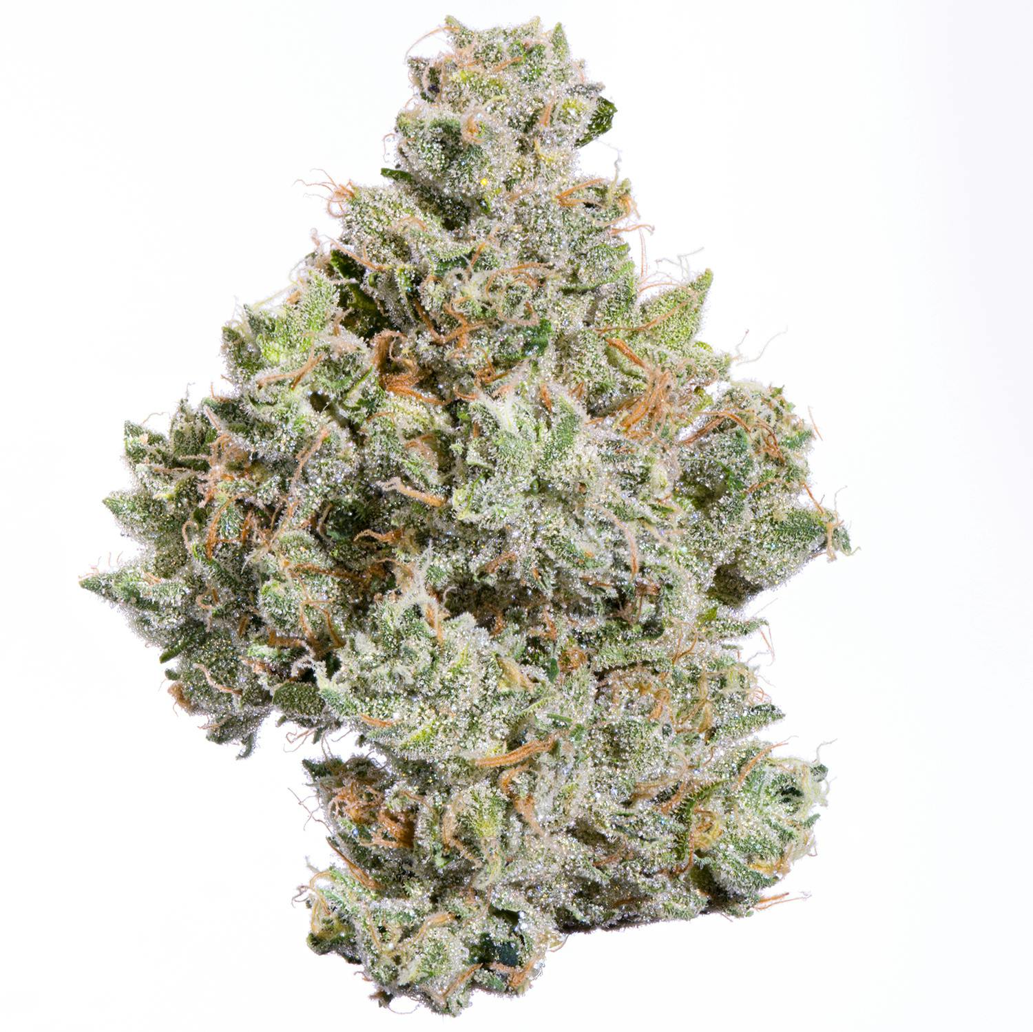 Fig Farms - Zowahh - 1