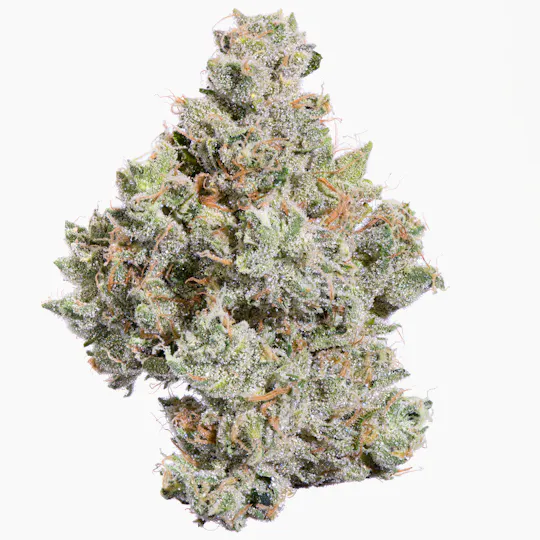 Fig Farms - Zowahh - 1