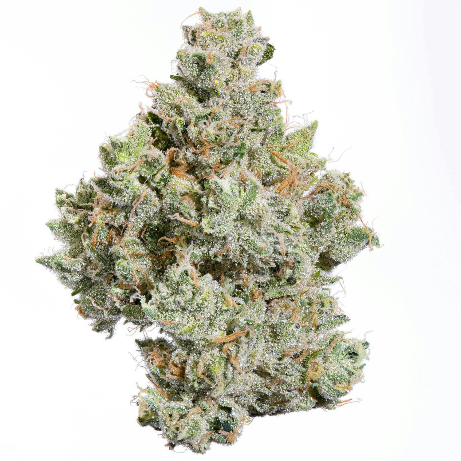 Fig Farms - Fig Farms | Zowahh | Big Buds - 1