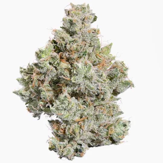 Fig Farms - Fig Farms | Zowahh | Big Buds - 1