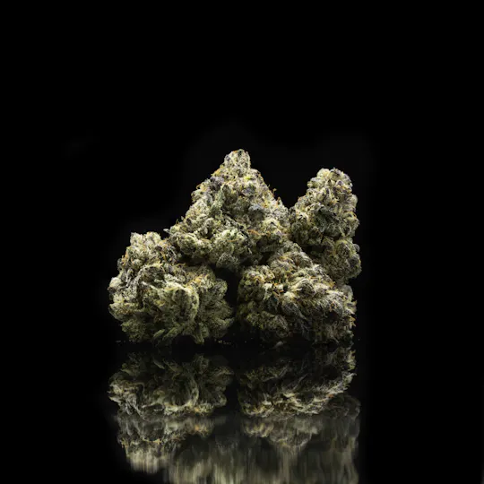 Pearl Pharma - Sherblotti - 1