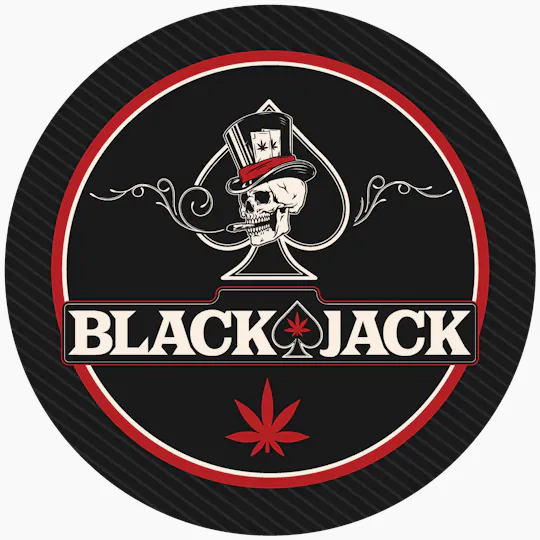 BLACK JACK - Blackjack | Killer Glue | Infused Minis | 0.5g each | 10pk - 1