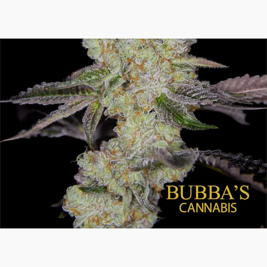 Bubba's Cannabis - Bubba's Cannabis | Super Silver Haze | Cartridge | 1g - 1