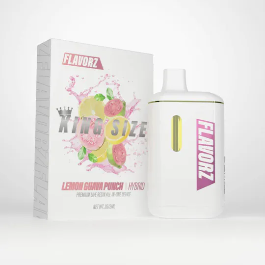 FLAVORZ - Flavorz | Lemon Guava Punch | Disposable | 2g - 1
