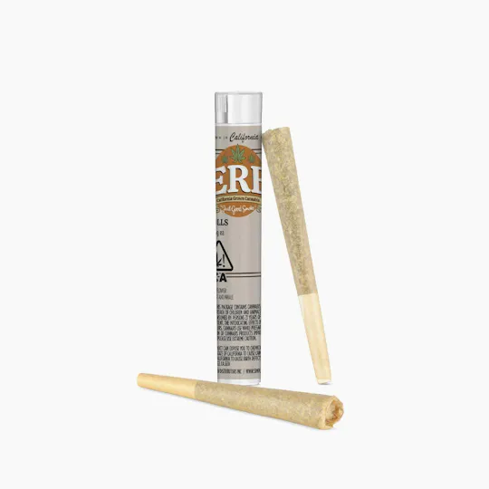 ERB - ERB | Key Lime Pie | Joints | 0.6g each | 2pk - 1