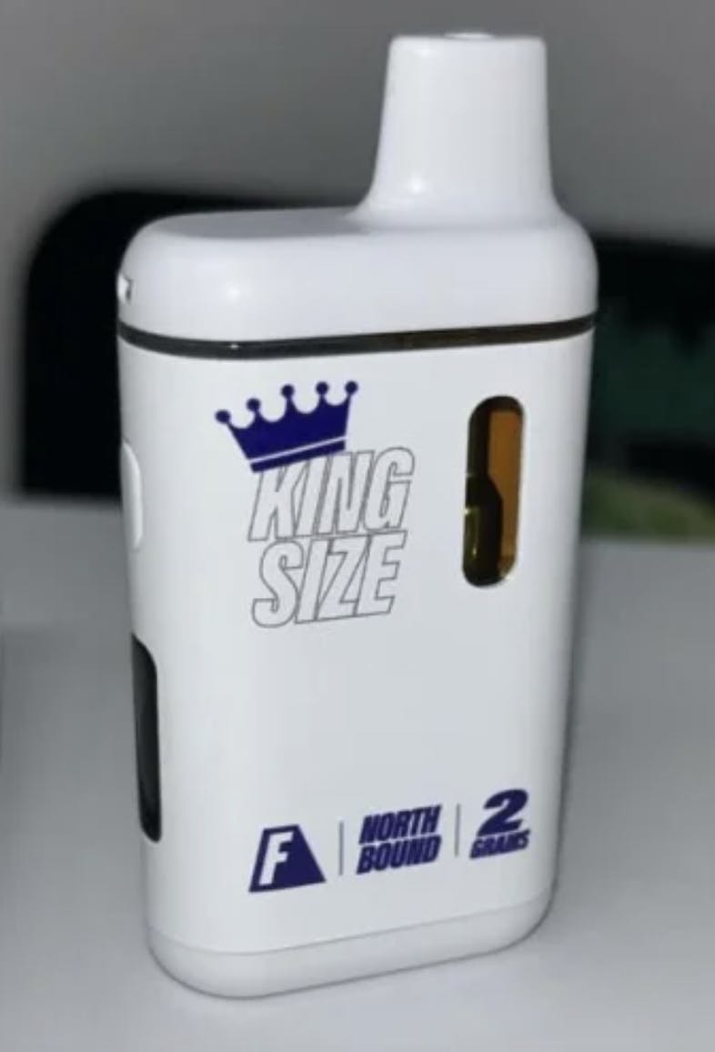 FLAVORZ - Flavorz | North Bound | Disposable | 2g - 1