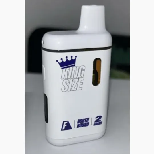 FLAVORZ - Flavorz | North Bound | Disposable | 2g - 1