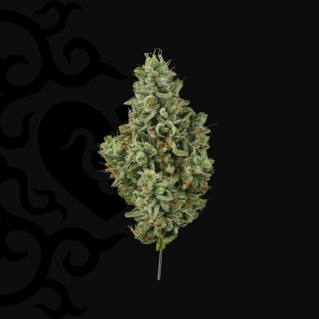 Dark Heart - Grandmas House Whole Flower - 1